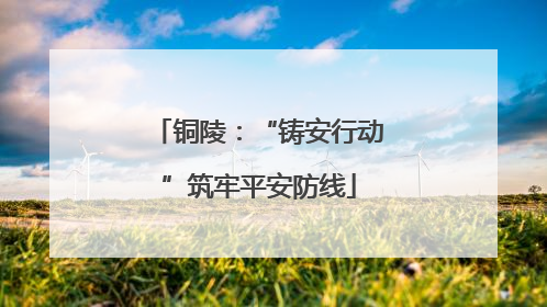 铜陵：“铸安行动”筑牢平安防线