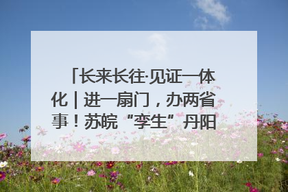 长来长往·见证一体化｜进一扇门，办两省事！苏皖“孪生”丹阳如何做到的？