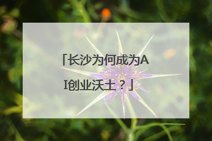 长沙为何成为AI创业沃土？
