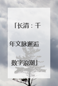 长清：千年文脉邂逅数字浪潮