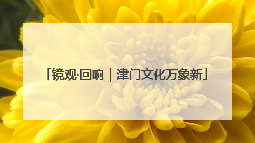 镜观·回响｜津门文化万象新