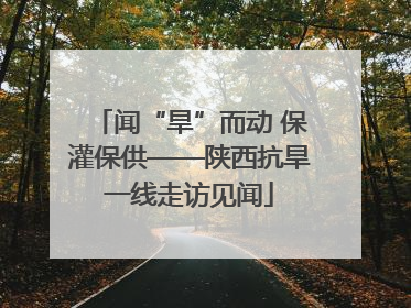 闻“旱”而动 保灌保供——陕西抗旱一线走访见闻