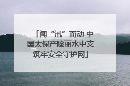 闻“汛”而动 中国太保产险丽水中支筑牢安全守护网