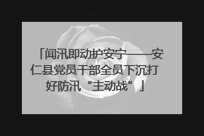 闻汛即动护安宁——安仁县党员干部全员下沉打好防汛“主动战”