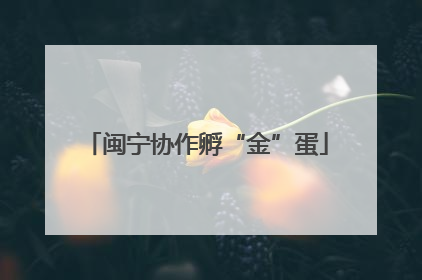 闽宁协作孵“金”蛋