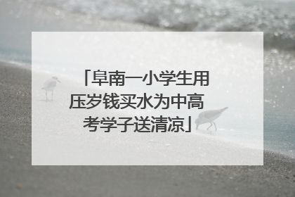 阜南一小学生用压岁钱买水为中高考学子送清凉