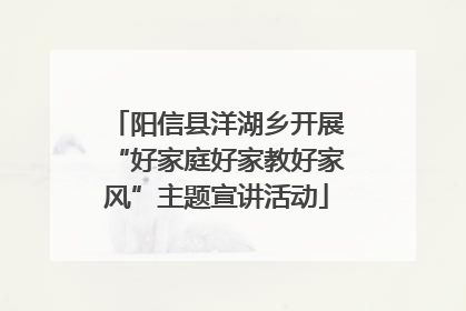 阳信县洋湖乡开展“好家庭好家教好家风”主题宣讲活动