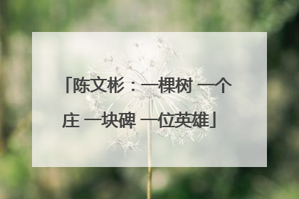 陈文彬：一棵树 一个庄 一块碑 一位英雄