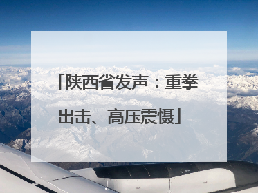 陕西省发声：重拳出击、高压震慑