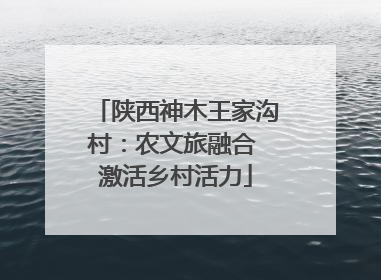 陕西神木王家沟村：农文旅融合 激活乡村活力