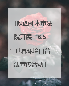 陕西神木市法院开展“6.5”世界环境日普法宣传活动