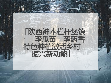 陕西神木栏杆堡镇：一垄瓜苗一垄药香 特色种植激活乡村振兴新动能
