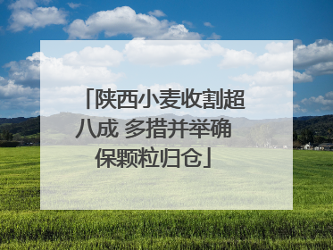 陕西小麦收割超八成 多措并举确保颗粒归仓