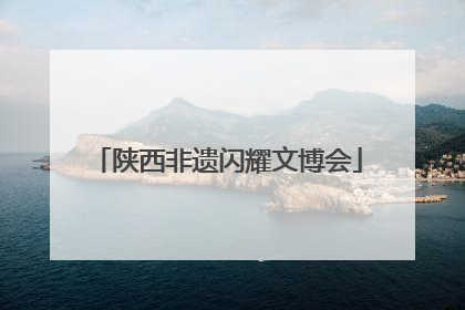 陕西非遗闪耀文博会