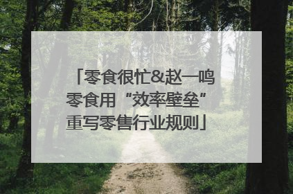 零食很忙&赵一鸣零食用“效率壁垒”重写零售行业规则