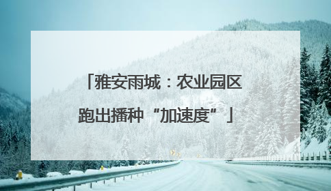 雅安雨城：农业园区跑出播种“加速度”