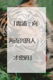 霞浦：向海而兴的人才密码