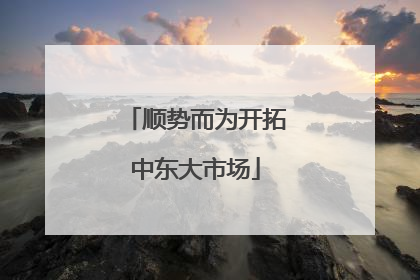 顺势而为开拓中东大市场