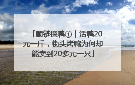 顺链探鸭①｜活鸭20元一斤，街头烤鸭为何却能卖到20多元一只