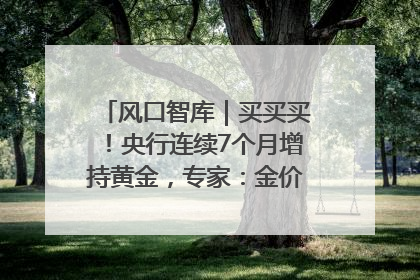 风口智库｜买买买！央行连续7个月增持黄金，专家：金价或仍易涨难跌