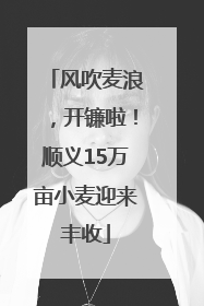 风吹麦浪，开镰啦！顺义15万亩小麦迎来丰收