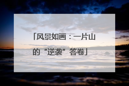 风景如画：一片山的“逆袭”答卷
