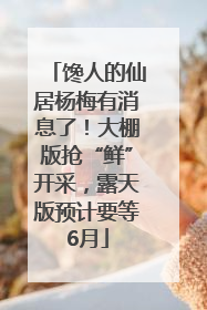 馋人的仙居杨梅有消息了！大棚版抢“鲜”开采，露天版预计要等6月