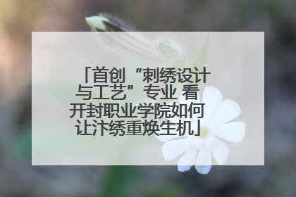 首创“刺绣设计与工艺”专业 看开封职业学院如何让汴绣重焕生机