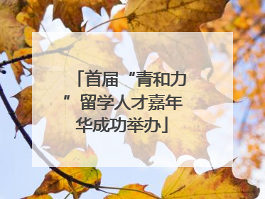 首届“青和力”留学人才嘉年华成功举办