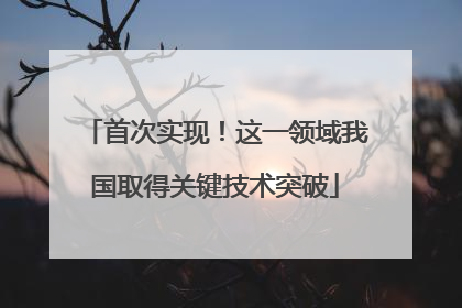首次实现！这一领域我国取得关键技术突破