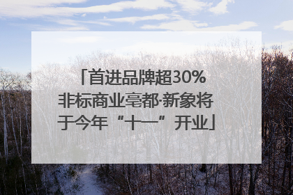 首进品牌超30% 非标商业亳都·新象将于今年“十一”开业