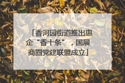 香河园街道推出惠企“香十条”，国展商圈党建联盟成立