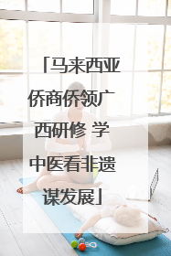 马来西亚侨商侨领广西研修 学中医看非遗谋发展
