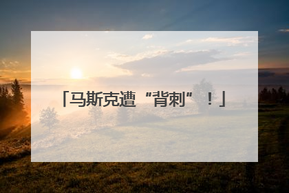 马斯克遭“背刺”！