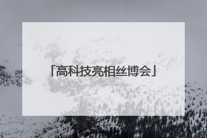 高科技亮相丝博会