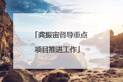 龚振宙督导重点项目推进工作