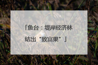 鱼台：堤岸经济林结出“致富果”