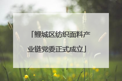 鲤城区纺织面料产业链党委正式成立