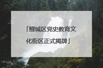鲤城区党史教育文化街区正式揭牌