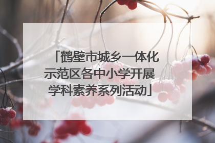 鹤壁市城乡一体化示范区各中小学开展学科素养系列活动