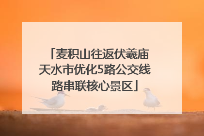 麦积山往返伏羲庙 天水市优化5路公交线路串联核心景区