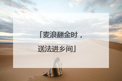 麦浪翻金时，送法进乡间