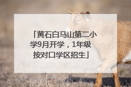 黄石白马山第二小学9月开学，1年级按对口学区招生