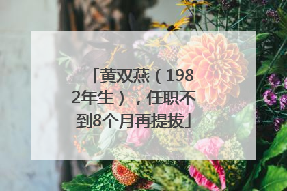 黄双燕（1982年生），任职不到8个月再提拔