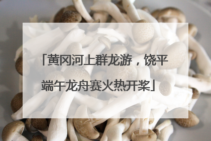 黄冈河上群龙游，饶平端午龙舟赛火热开桨