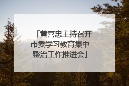 黄喜忠主持召开市委学习教育集中整治工作推进会