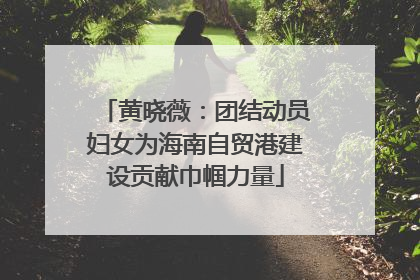 黄晓薇：团结动员妇女为海南自贸港建设贡献巾帼力量