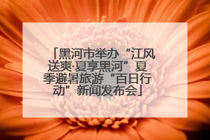 黑河市举办“江风送爽·夏享黑河”夏季避暑旅游“百日行动”新闻发布会