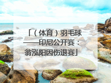 （体育）羽毛球——印尼公开赛：翁泓阳因伤退赛