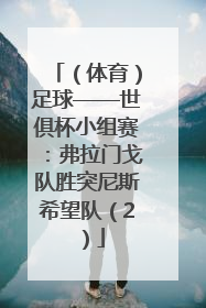 （体育）足球——世俱杯小组赛：弗拉门戈队胜突尼斯希望队（2）